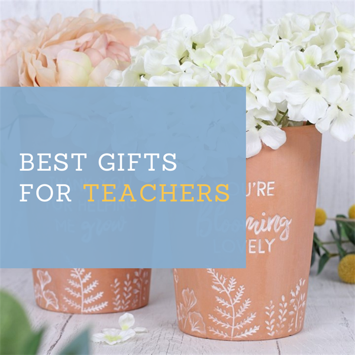 Best Teacher Gifts to Buy Wholesale.png